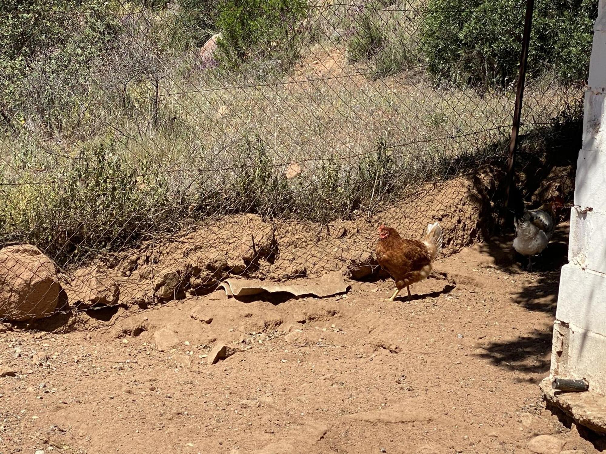 Las Chorreras Del Orejon 2 Villaviciosa de Córdoba 외부 사진