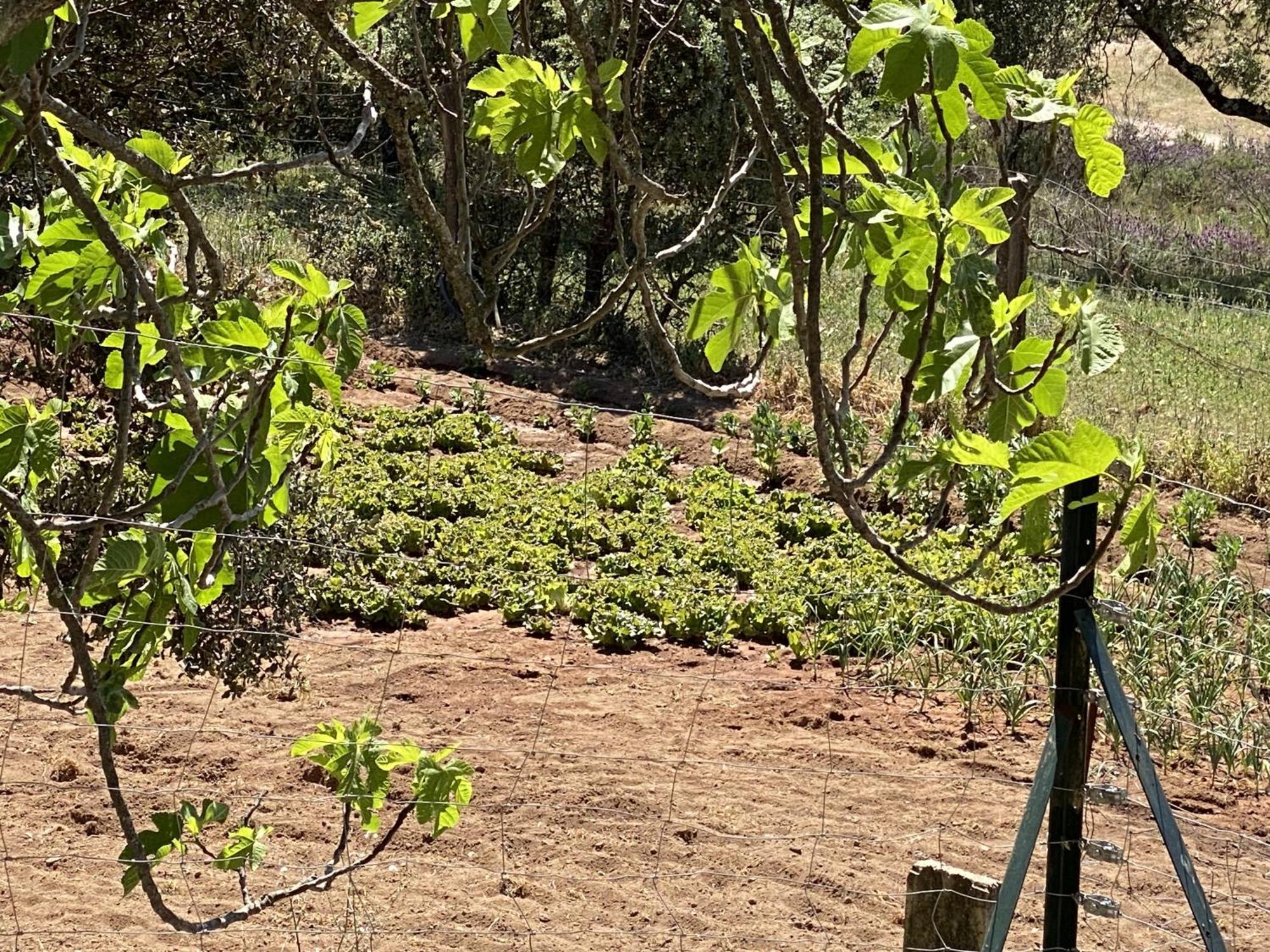 Las Chorreras Del Orejon 2 Villaviciosa de Córdoba 외부 사진